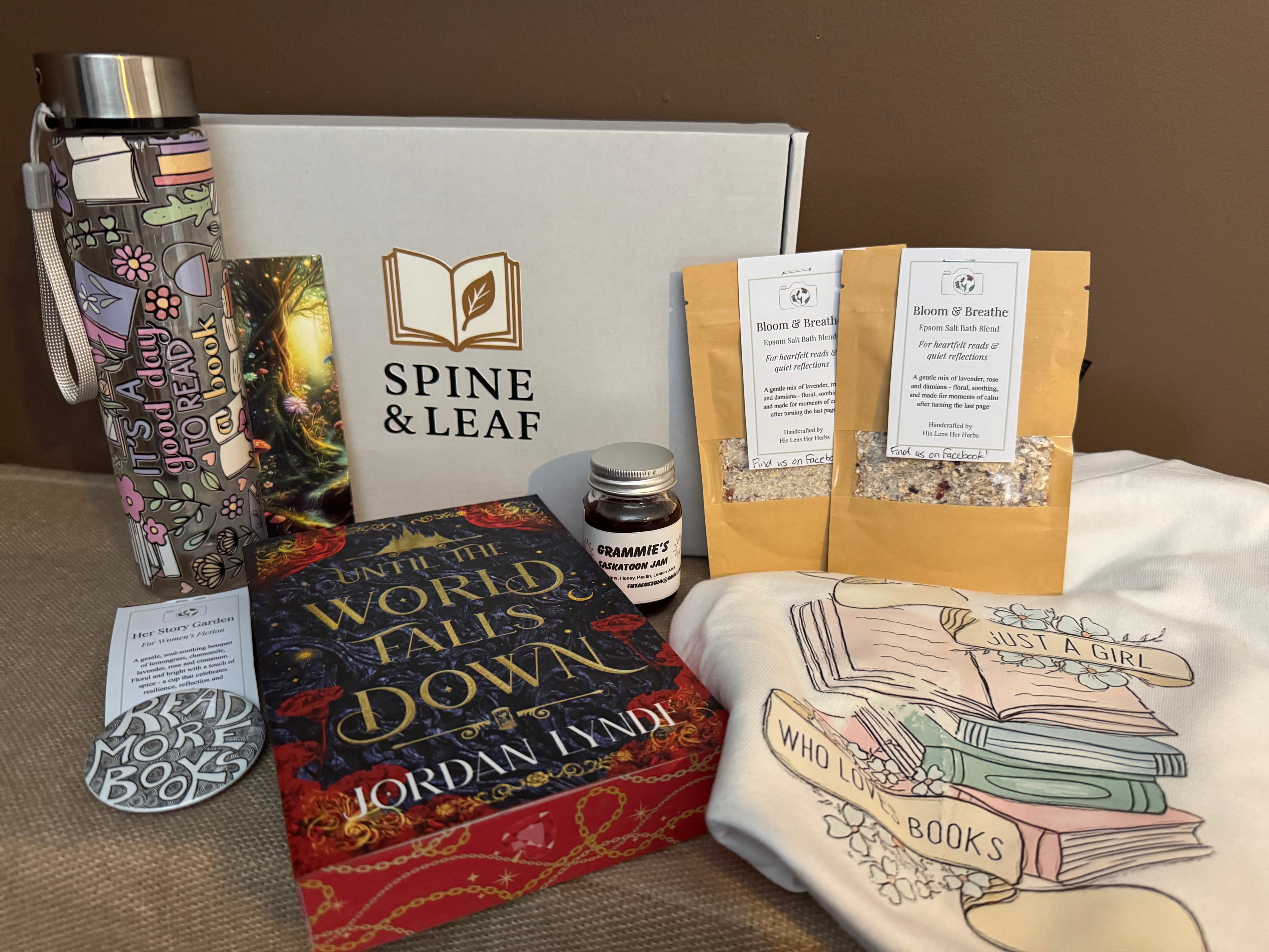 Until The World Falls Down Box Set